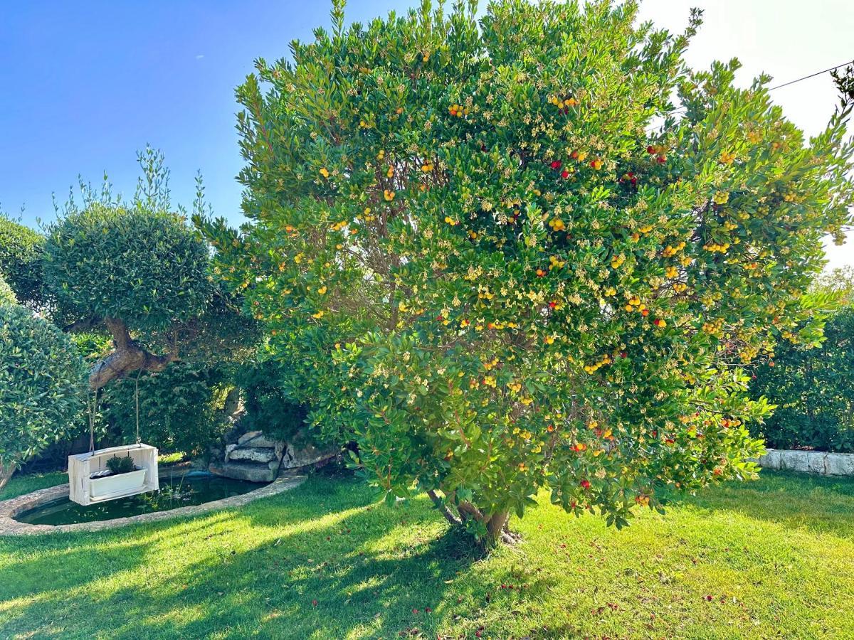 Trullo Il Carrubo Villa อัลเบโรเบลโล ภายนอก รูปภาพ
